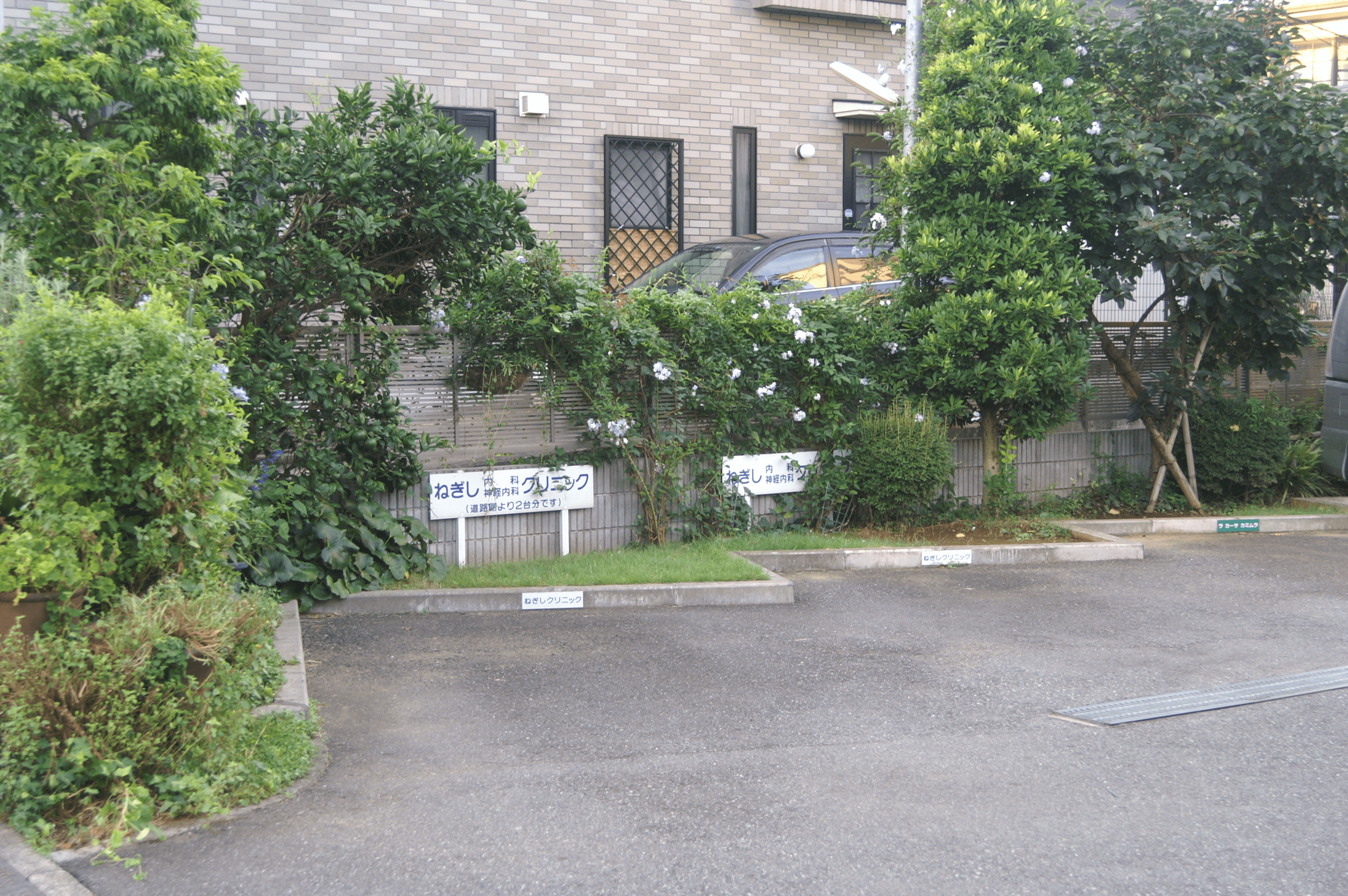 ねぎし内科神経内科クリニックの駐車場